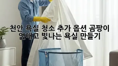 천안 욕실 청소 추가 옵션: 곰팡이 없애고 빛나는 욕실 만들기